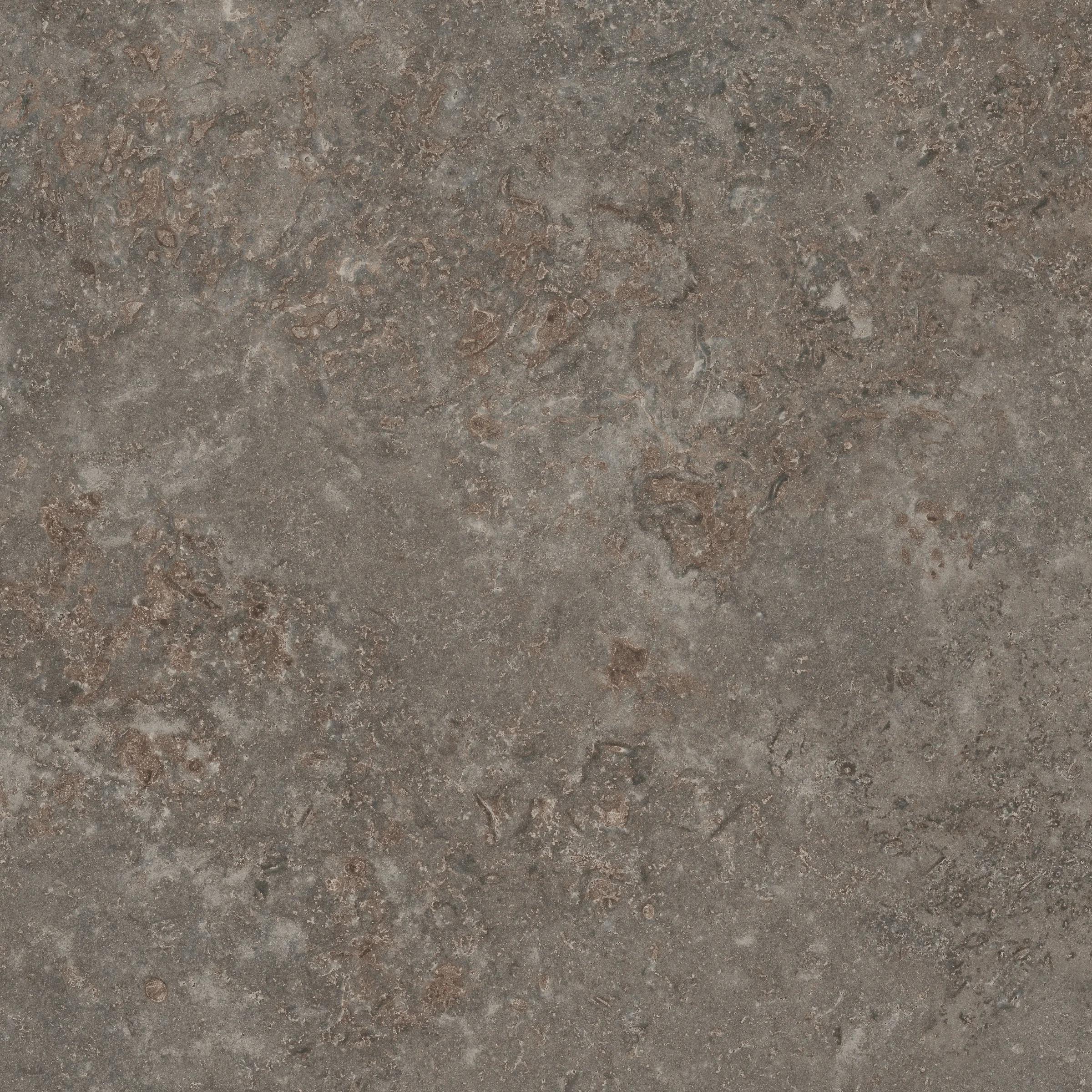 product thumbnail C33_Terra Nova.jpg